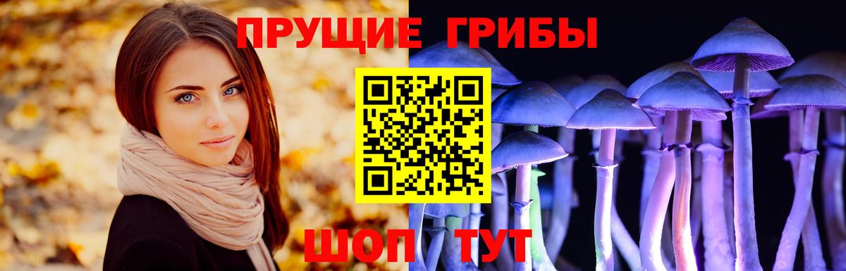 где найти наркотики  Галлюциногенные грибы ЛСД  Вход с VPN  Геленджик 
